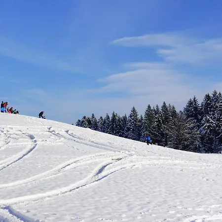 Lejlighed Relax - Blue Mit Pool Und Sauna Scheidegg