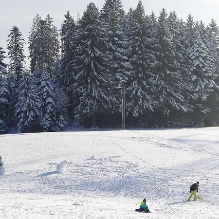 Relax - Blue Mit Pool Und Sauna Appartamento Scheidegg
